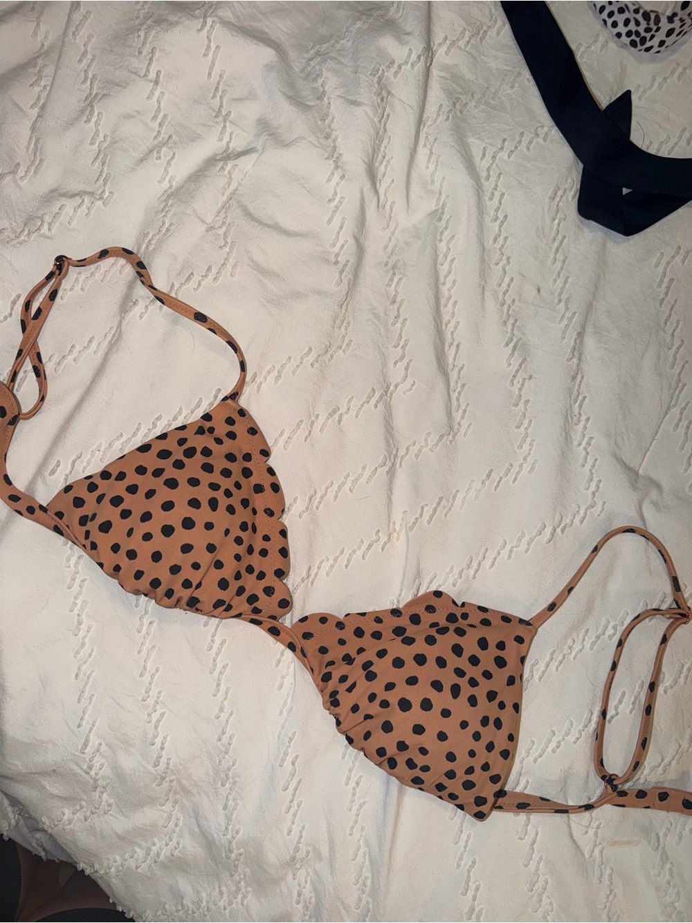 Polka Dot Triangle Bikini Top in Tan and Black